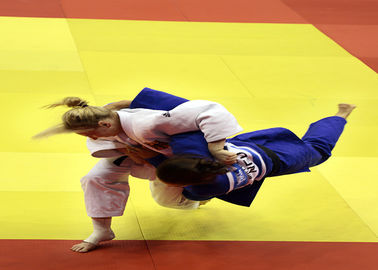 Stuoie Colourful ad alta densità di judo della concorrenza e di addestramento di arti marziali di jujutsu di Bjj